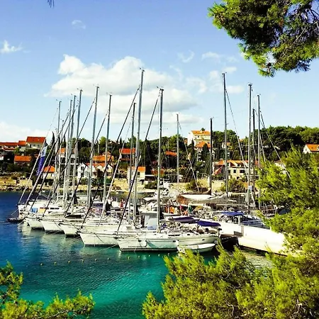 Sea Pearl * Maslinica